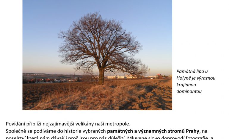 Zajímavé stromy Prahy – beseda