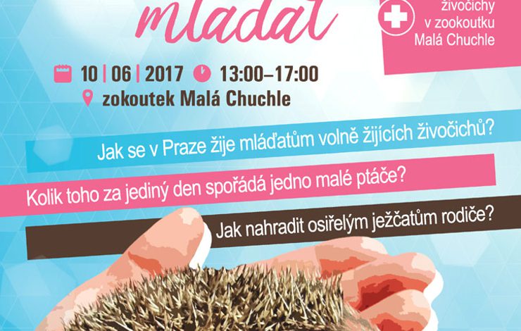 Den mláďat v Zookoutku Malá Chuchle