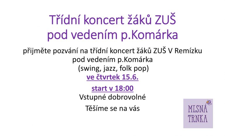 Třídní koncert žáků ZUŠ  pod vedením p.Komárka