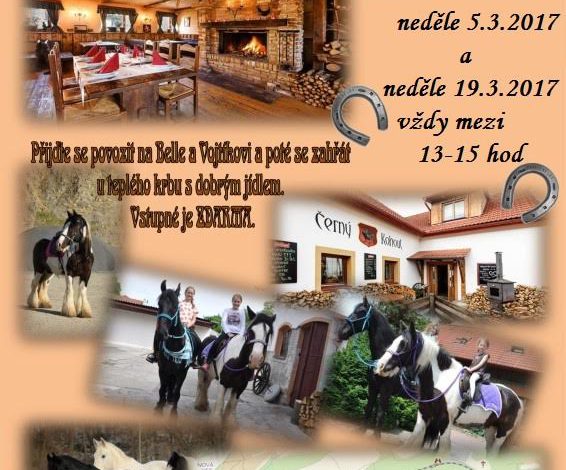 PROJÍŽĎKA NA KONÍCH ZDARMA v restauraci Černý kohout.