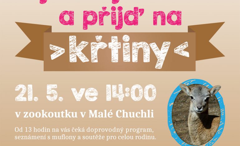 POZVÁNKA: Vyberte jména pro muflončata a přijďte na křtiny