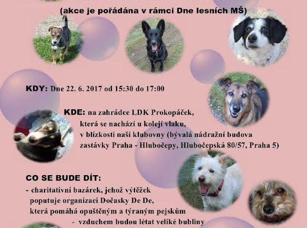 Den otevřené branky a charitativní bazárek v Lesním klubu Prokopáček