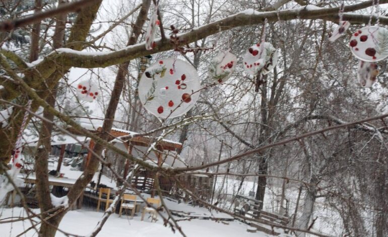 Zimní dobrodružství malých Prokopáčků